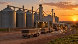 Silos e unidade de recebimento de grãos de cooperativa agrícola ao pôr do sol