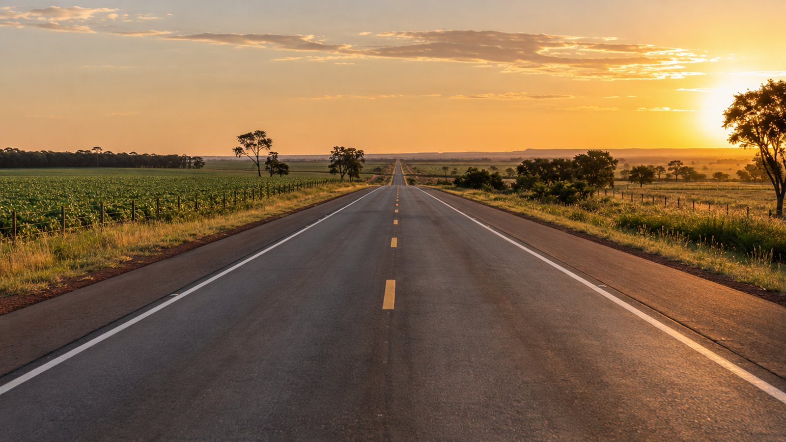 Trecho reto de rodovia estadual com acostamento entre fazendas