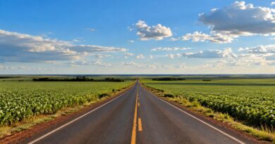 Rodovia reta atravessando planalto com lavouras no leste de Mato Grosso do Sul